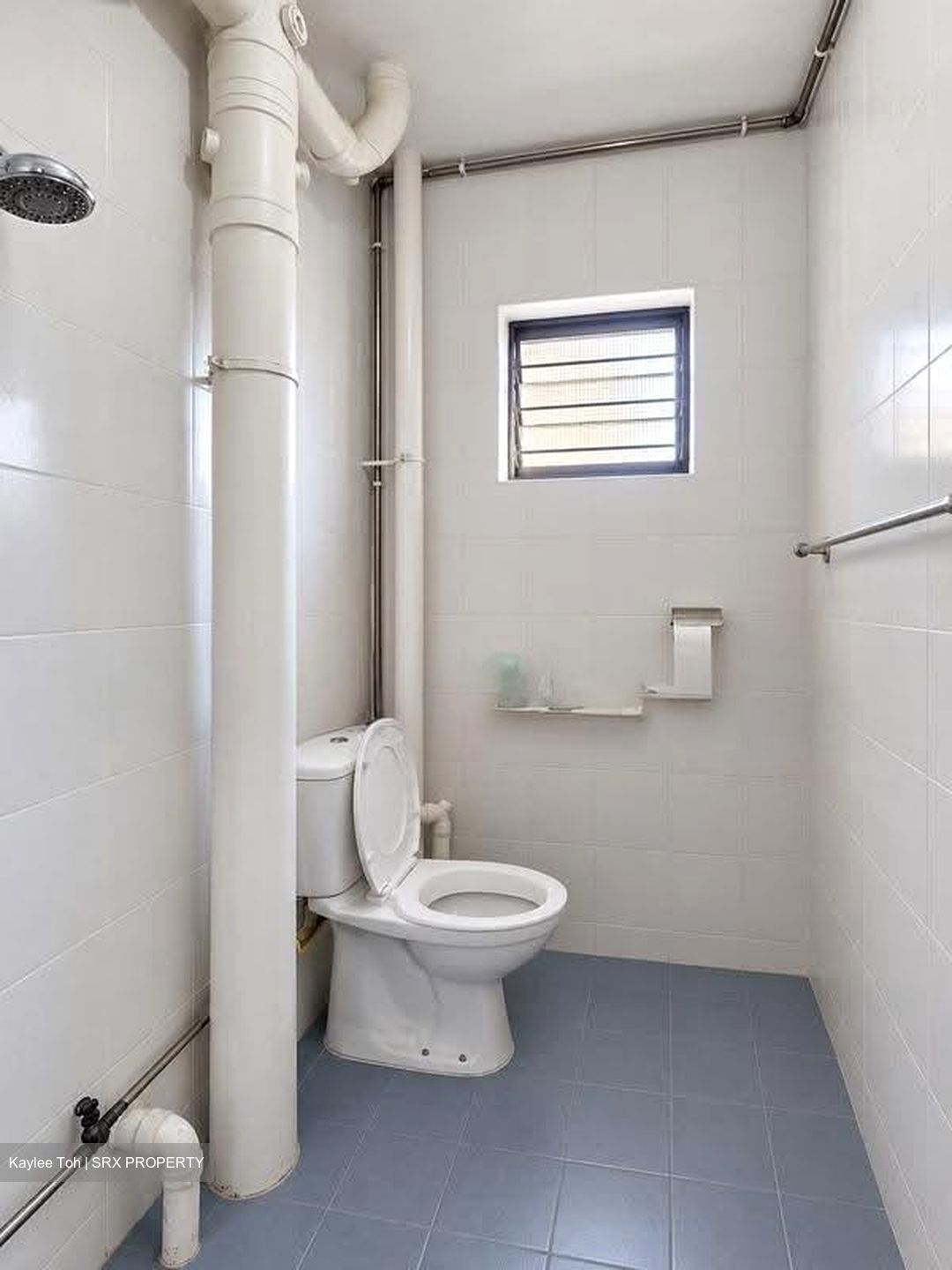 Blk 102 Gangsa Road (Bukit Panjang), HDB 4 Rooms #629982851